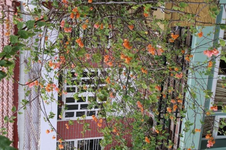 Phong Lan Guesthouse Hue Ruang foto